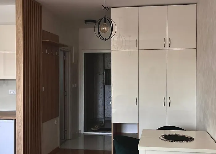 Radic * Златибор