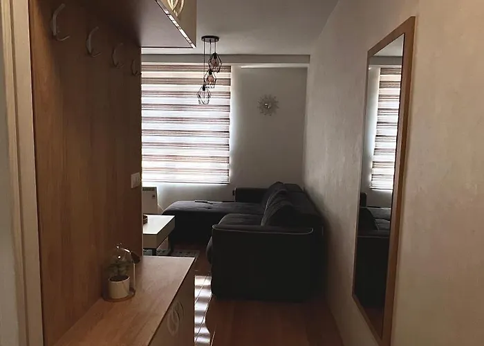 Radic Апартаменты *